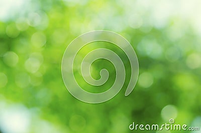 Green bokeh abstract backgrounds. Stock Photo