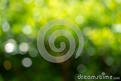 Green bokeh background Stock Photo