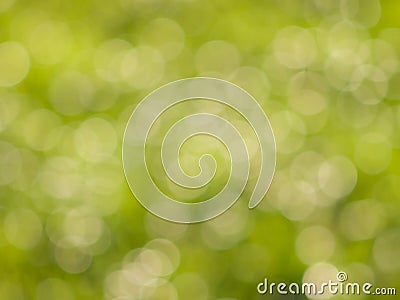 Green bokeh lights in sunny day Stock Photo