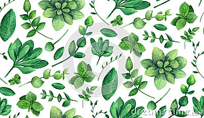 Green botanical pattern. Greenery background. Summer garden Cartoon Illustration