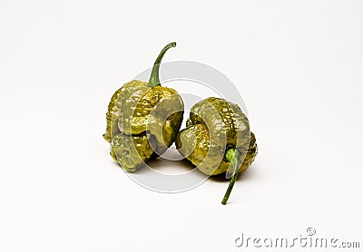 Green BrainStrain - Hot Pepper Stock Photo