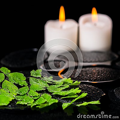 Green branch Adiantum fern with drops and candles on zen basalt Stock Photo