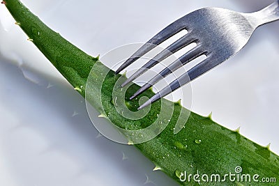 Green branch of aloe vera with dining fork on white porcelain Stock Photo