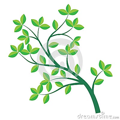 Green branch and leaf-Vector Illustration Vector Illustration