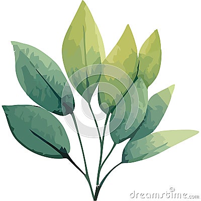 green branch with leafs plant watercolor style Stock Photo