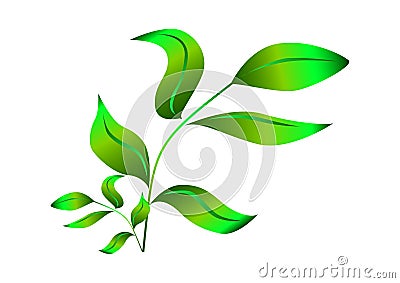 Green branch with leaves.eps Juicy shoots of young trees. Branch with leaves . Vector Illustration