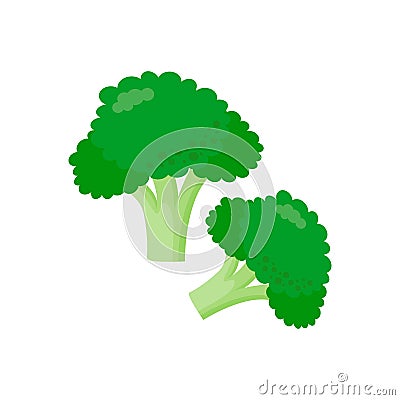 Green brocolli simple illustration on white background. healthy food Vector Illustration