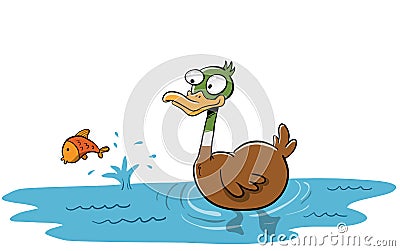 Wild duck swiming in like catching fish Vector Illustration