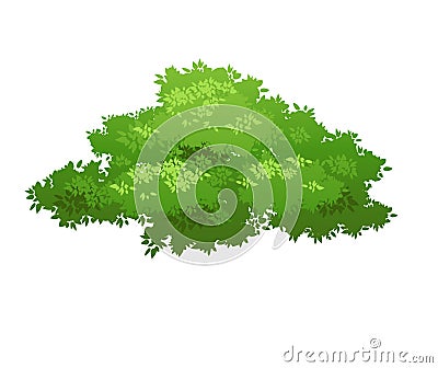 Green bush nature Vector Illustration