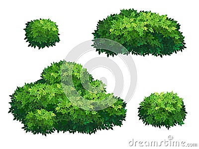 Green bushes and tree crown. Vector Illustration