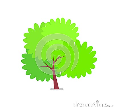 Green Bushy Tree with Big Round Branches Vector Vector Illustration