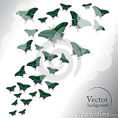 Green butterflies. Abstract background. Vector Illustration