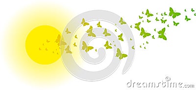 Green butterflies in front of the sun for greeting cards Stock Photo