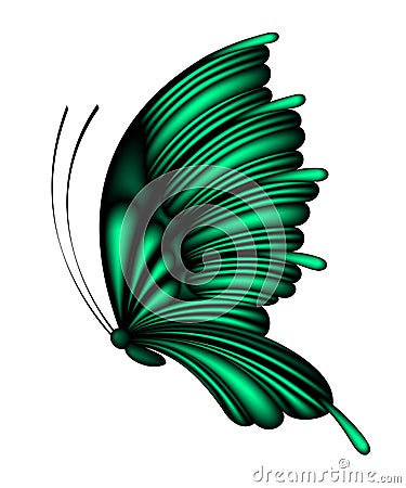 Green butterfly Vector Illustration