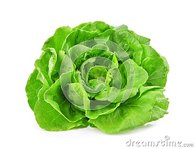 Green butterhead lettuce isolated on white background. Stock Photo