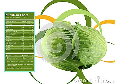 Green cabbage nutrition facts Vector Illustration