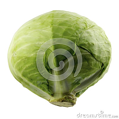 Green cabbage on white background Stock Photo