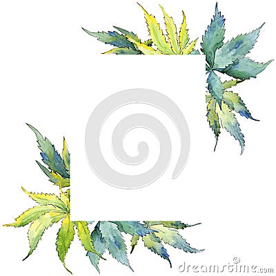 Green cannabis leaf. Leaf plant botanical garden floral foliage. Frame border ornament square. Stock Photo