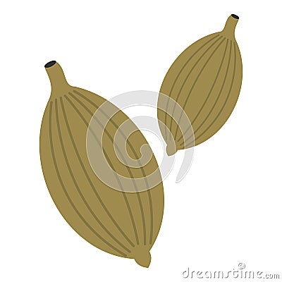 Green cardamom pods icon isolated Vector Illustration