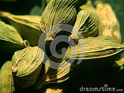 Green cardamom seeds closeup image macro photo Stock Photo