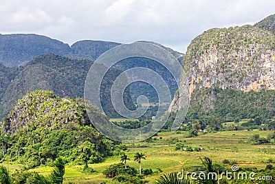 Green caribbean valley with mogotes hills landscape, Vinales, Pinar Del Rio, Cuba Stock Photo