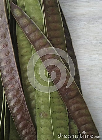 Green and mature Carob Pods on wooden background. Ceratonia siliqua. John Bread. Stock Photo