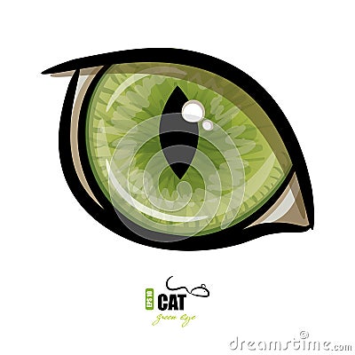 Green cat`s eye Vector Illustration