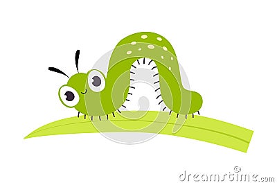 Green Caterpillar or Worm as Crawling Insect on Grass Blade Vector Illustration Vector Illustration