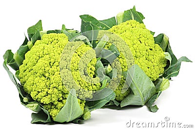 Green cauliflower heads Stock Photo