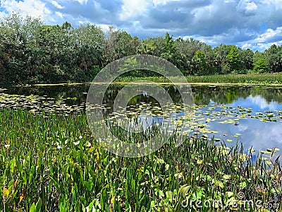 Green Cay Wetlands Stock Photo