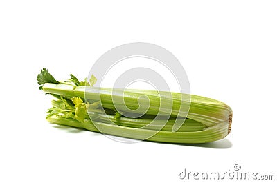 Green Celery Stock Photo