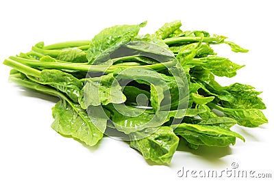 Green Ceylon Spinach Stock Photo