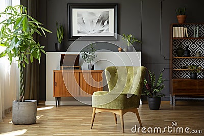 Green chair next to plant in grey living room interior with poster above wooden cabinet. Real photo Stock Photo