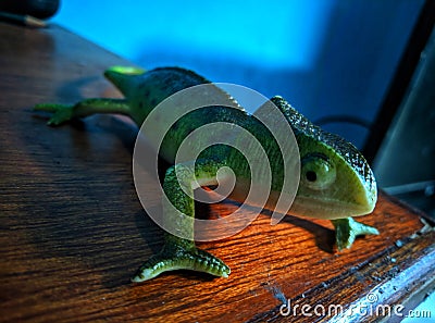 A green charmeleon toy that made from harmless materials Stock Photo