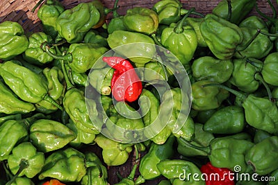 green chili peppers stock on shop Stock Photo