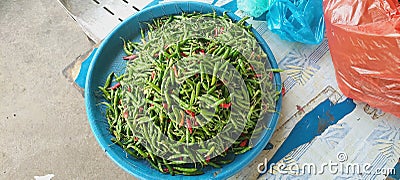 Green chili uploads tastes, who dares to try Stock Photo