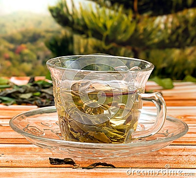 Green China Tea Means Thirsty Wellness And Drink Stock Photo
