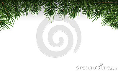 Green Christmas tree branches border on a white background. Vector Illustration. Vector Illustration