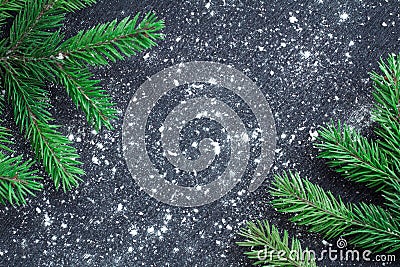 Green Christmas tree branches on winter snowbound black space ba Stock Photo