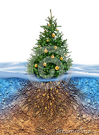 Green Christmas tree with roots beneath Stock Photo