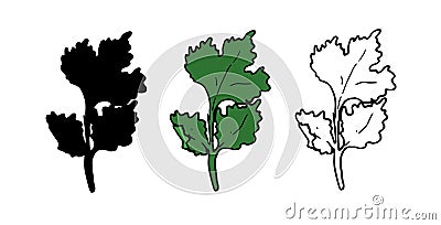 A green CILANTRO leaf. isolated set of hand-drawn fresh green cilantro twigs with black outline and silhouette for packaging, Vector Illustration