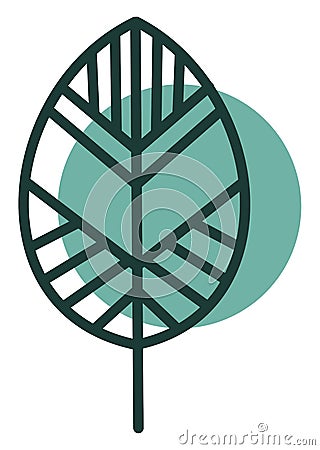 Green circular leaf, icon Vector Illustration