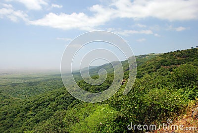 Green cliff Stock Photo