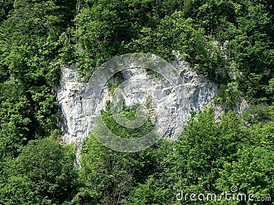 Green cliff Stock Photo