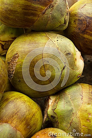 Green coconuts. Indian style Stock Photo