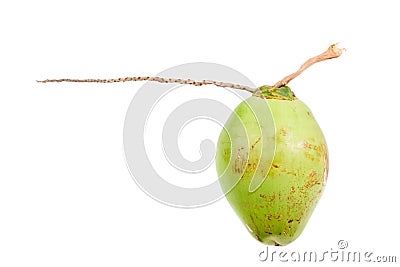 Green coconuts Stock Photo