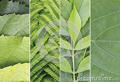 Green color samples collage. Summer background. Stock Photo