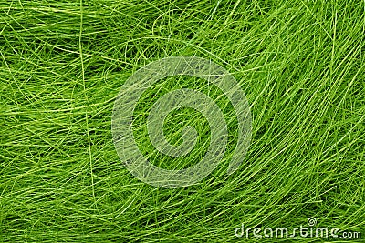 Green colored sisal fibre texture Stock Photo