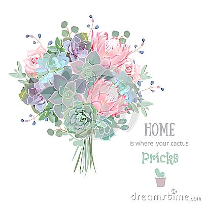 Green colorful succulents vector design set. Echeveria, protea, eucaliptus. Vector Illustration