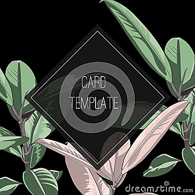 Green colorful tropical vector design square frame. Exotic ficus leaves. Natural exotic card in modern funky style. Stock Photo